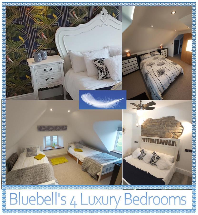 Bluebell House 5 Star Holiday Let Villa Somerton  Bagian luar foto
